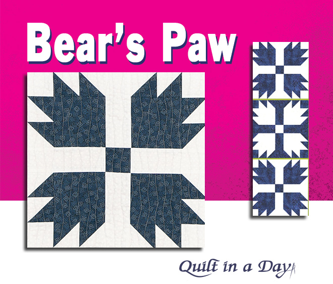 Image result for accuquilt bear paw pattern